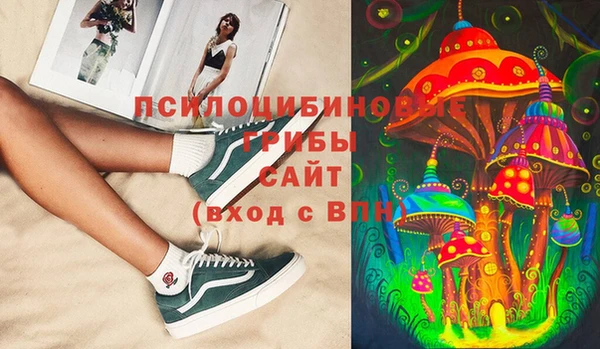 крисы Волоколамск